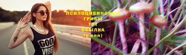 каннабис Надым
