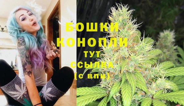 молекула духа Наволоки